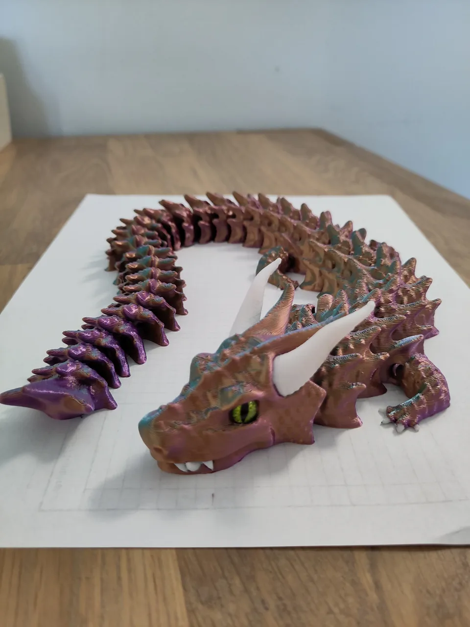 Shadowcoil Print