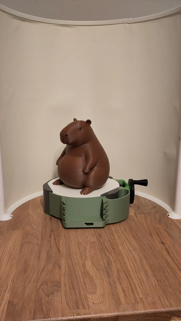 Capybara