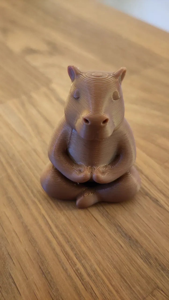 Capybara Detail