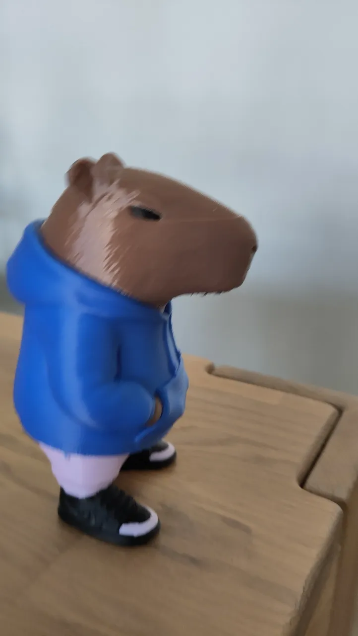 Capybara Print