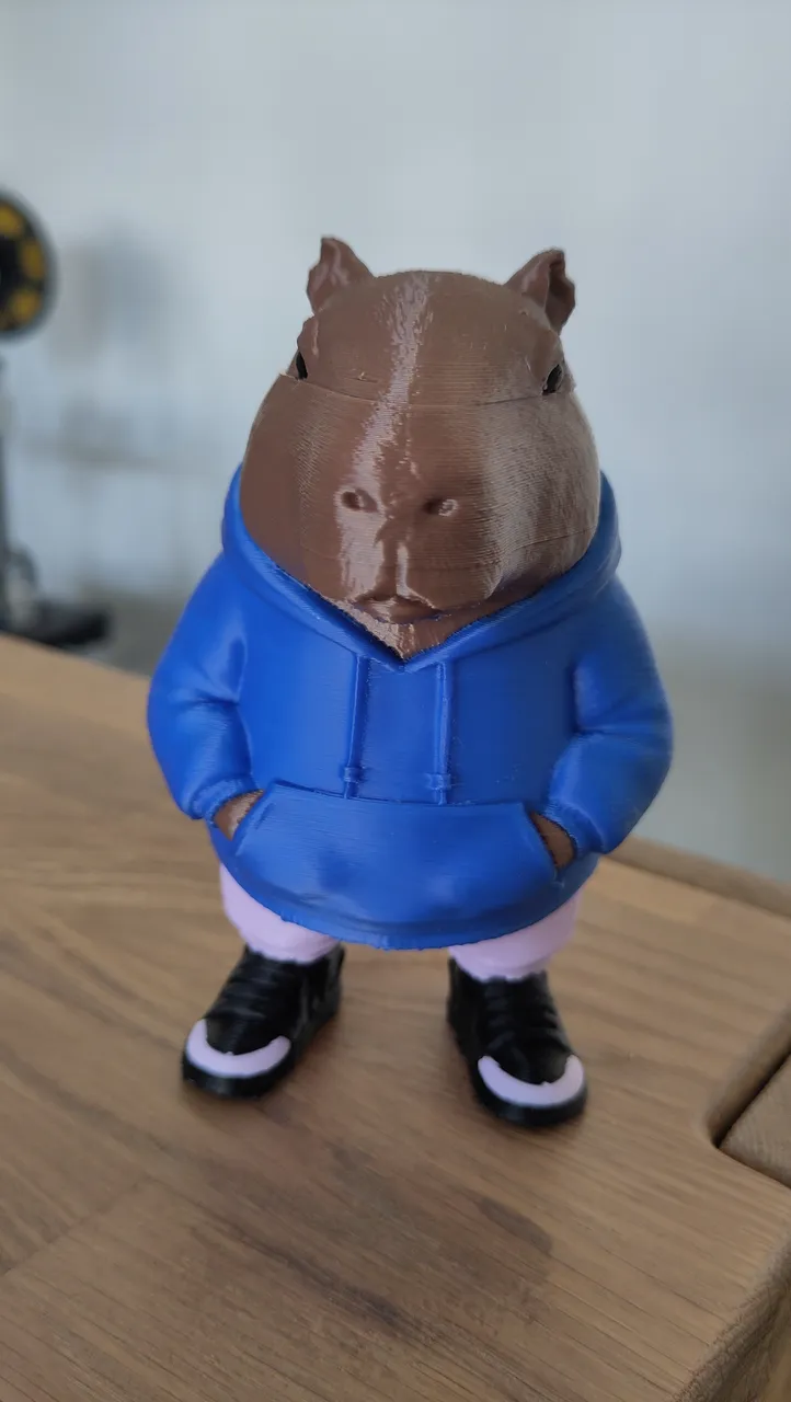 Capybara Detail