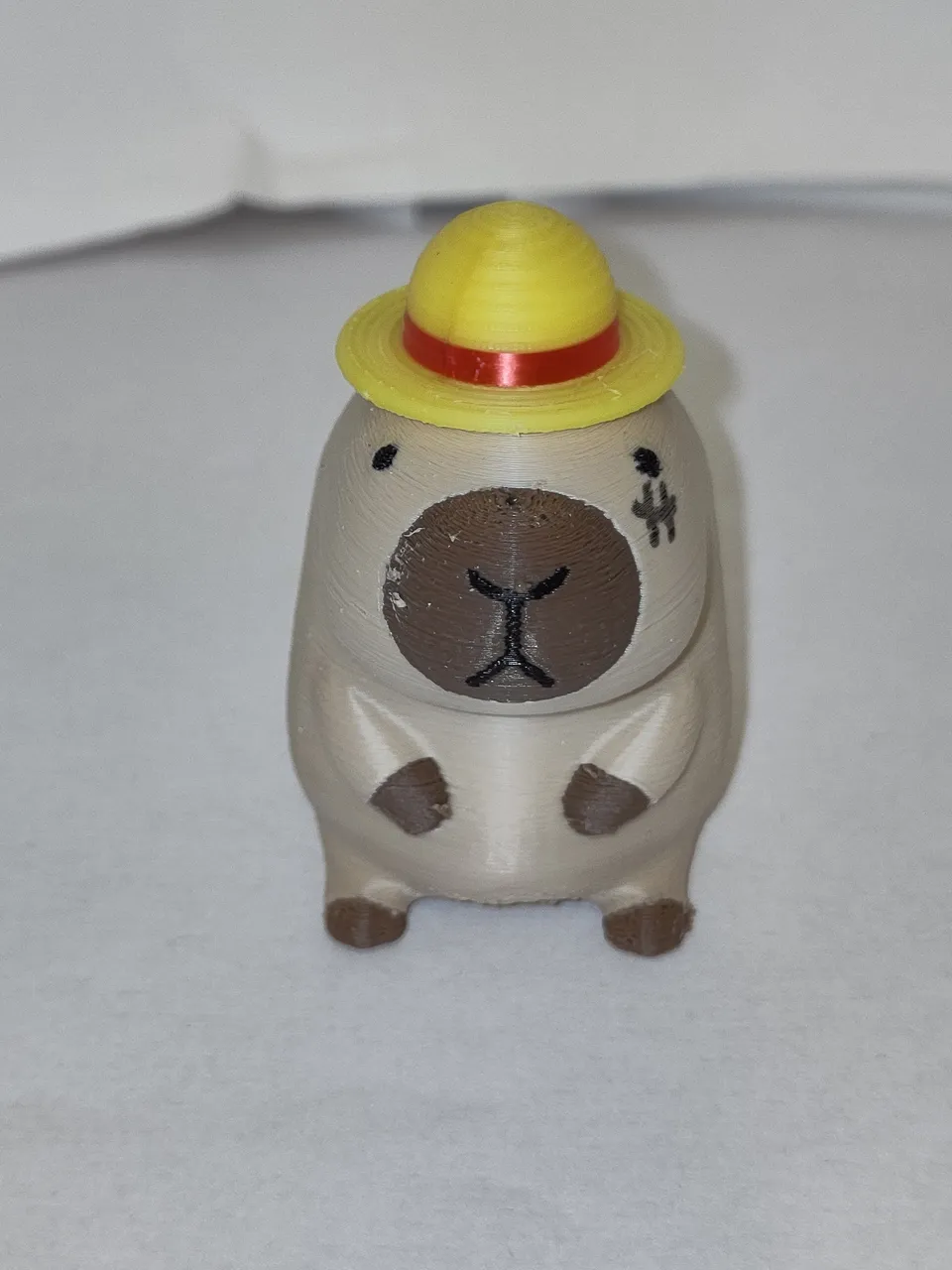 Capybara Print