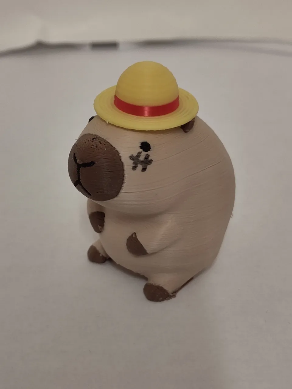 Capybara Print
